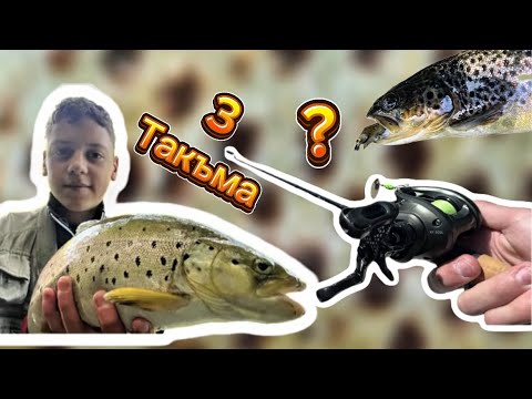 Видео: Риболов на Пъстърва с 3 такъма !