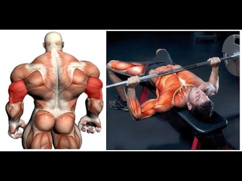 Видео: СИЛА = ГИПЕРТРОФИЯ - есть ли связь - ГИПЕРТРОФИЯ = СИЛА
