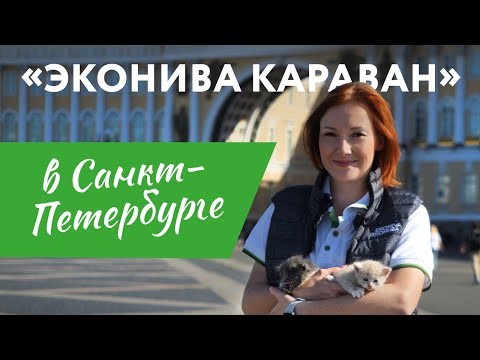Видео: «ЭкоНива Караван» в Санкт-Петербурге