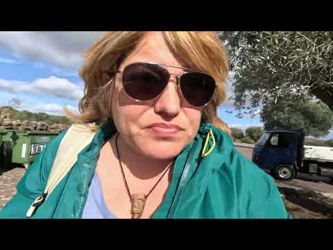 Видео: 🫶Пътуване на Сърцето!"Археология и емоции: Лична история от Сардиния !#travel #love #sardinia 