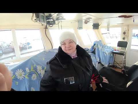 Видео: 3 11 2025 под охрану