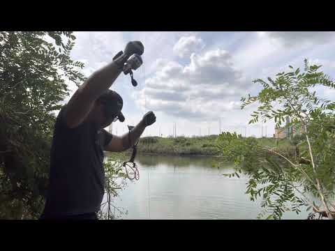 Видео: Охота на пеленгаса кефаль сново в Ансане не далеко от дома