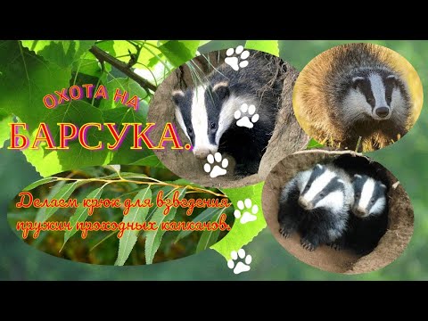 Видео: Делаем крюк для взведения пружин проходных капканов.