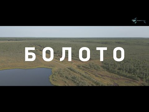 Видео: Фильм: "БОЛОТО" (для ООО "МЕГВЕСТ", вездеходы "ХИЩНИК") / SWAMP