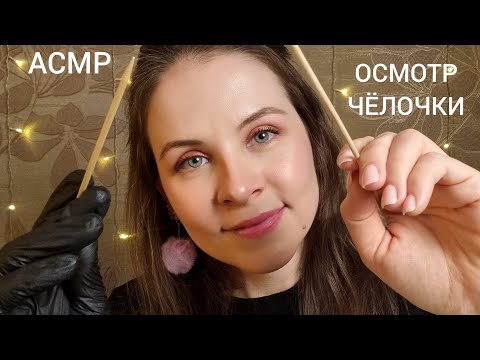 Видео: АСМР Осмотр Челочки Ты 99.99% Точно Уснешь Супер Мурашки