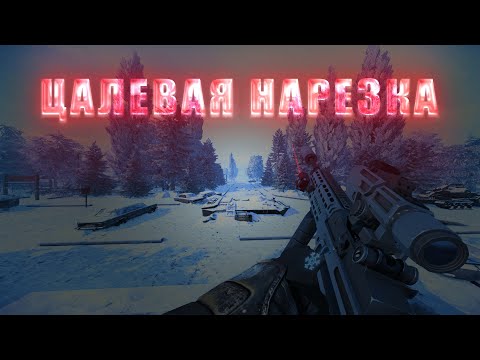Видео: Забрал Топ-50 Ёлки. 1OOh pvp из 1OOOh. feat. [KILL] [CELL] [VATA] [MQRD] etc. | PVP STALCRAFTX