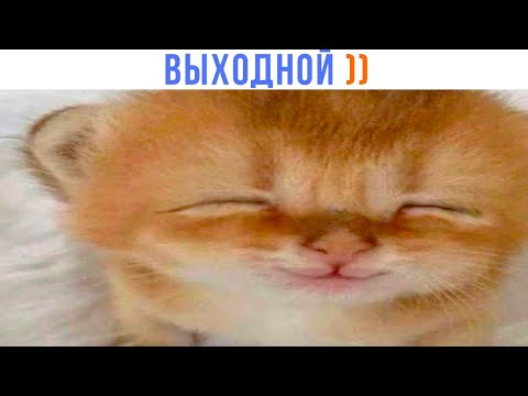 Видео: ВЫХОДНОЙ ))) | Приколы | Мемозг 1568