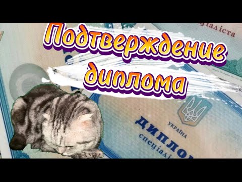 Видео: Подтверждение диплома в Германии