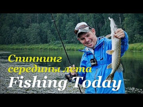 Видео: Ловим рыбу на незнакомой реке! Тактика поиска и убойная проводка! - Fishing Today