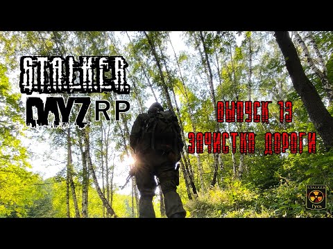 Видео: S.T.A.L.K.E.R. DayZ RP. (Выпуск 13  Зачистка дороги)