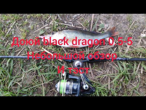 Видео: Мормышинг 2021. Наноджиг. Доюй black dragon 0.5-5 обзор и тэст. Рыбалка