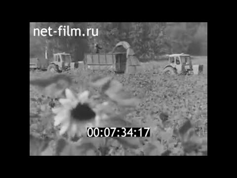 Видео: 1975г. совхоз Судаково. Павлусенко Ф.И. Приозерский район Ленинградская обл.