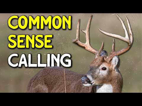 Видео: Перестаньте слишком много думать: тактика ворчания, основанная на здравом смысле