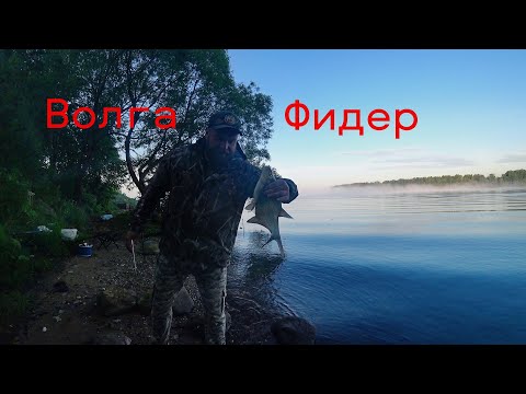 Видео: Рыбалка на Волге. Ловля Леща на Фидер