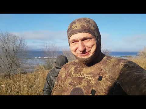 Видео: Монета вместо судачков !!!