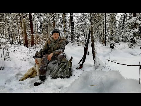 Видео: Сибирь. Промысловые будни.