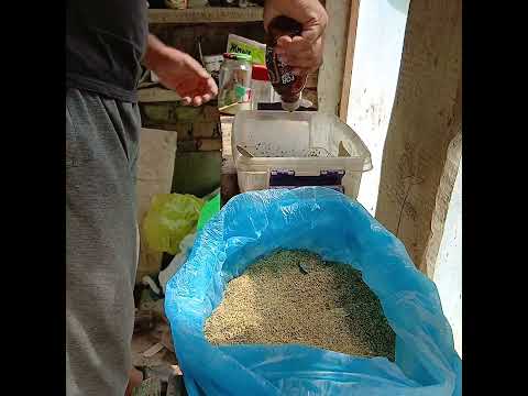 Видео: Балик ови ем таёрлаш! #farming #fishing #балык #рыбалка #carpfishing #природа #рыбалканаозере #fish 