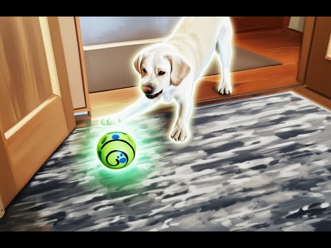 Видео: Говорящий мячик для Симбы: или как доказать, что игрушка — не на 5 минут