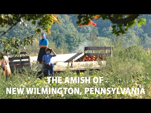 Видео: С АМИШАМИ СТАРОГО ОРДЕНА в НЬЮ-УИЛМИНГТОНЕ, штат Пенсильвания, – одном из крупнейших и старейших ...