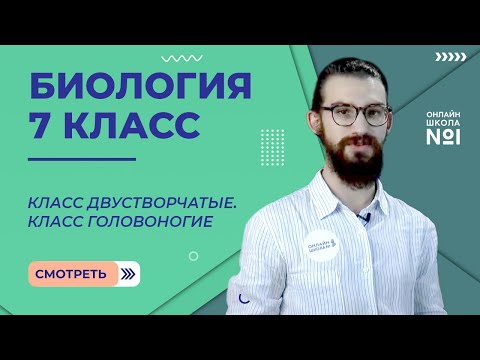Видео: Класс Двустворчатые. Класс Головоногие. Урок 11. Биология 7 класс