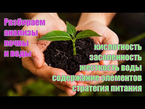 Видео: Подробный разбор анализа воды и почвы с моего участка