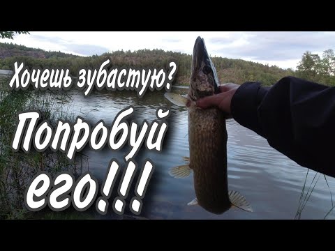 Видео: Ловля щуки на раттлитны. Ловля окуня на раттлины.  Ловля окуня на вертушки.