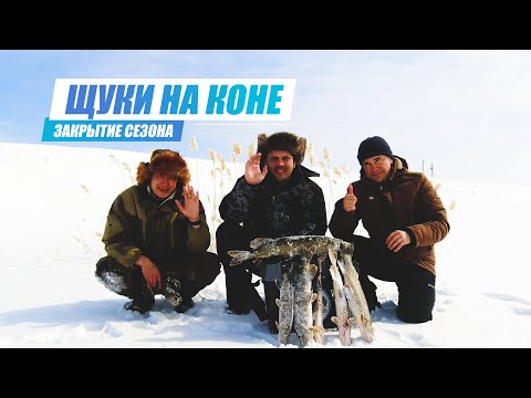 Видео: КОНСКИЙ ЖОР ЩУКИ. Зимняя Рыбалка в Карагандинской Области на Реке Кон. Рыбалка 2022