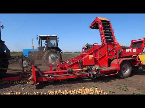 Видео: Уборка раннего лука комбайном IMAC(италия)