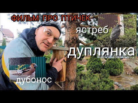 Видео: Как сделать дуплянку. Фильм про птичек. Дуплянка синичник.