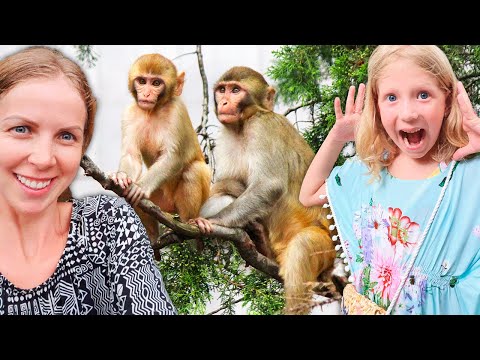 Видео: ЛЕС ОБЕЗЬЯН! ОБЕЗЬЯНЫ ПОВСЮДУ!! Милана ГЛАДИТ РЫБ! КТО ЖИВЕТ  У НАС В НОМЕРЕ!!!!