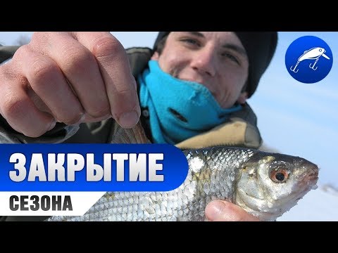 Видео: ЗАКРЫТИЕ СЕЗОНА! Плотва на мормышку. Ловля плотвы зимой. Зимняя рыбалка на мормышку
