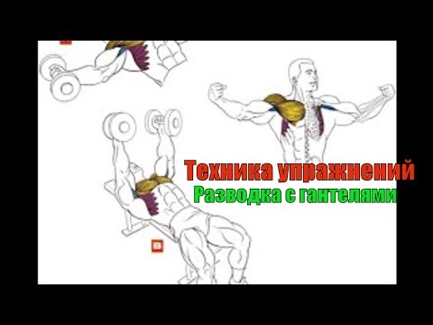 Видео: Разводка с гантелями лёжа. Разводка на горизонтальной и на наклонной лавке. Техника #10