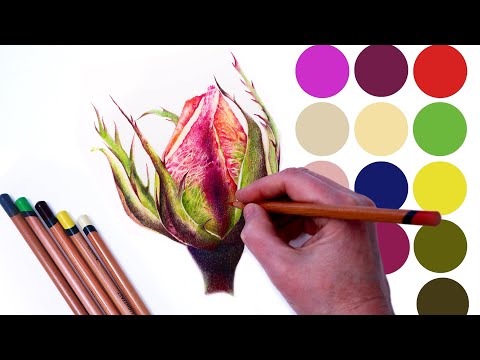 Видео: 5 интересных и простых правил выбора цвета