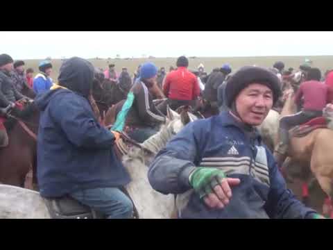Видео: Көкпар Шығановтар әулеті 13.02.2022 ж