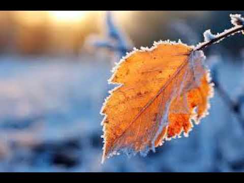 Видео: НАШ  МИР