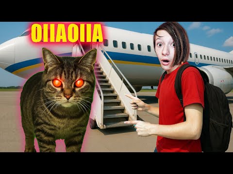 Видео: OIIA CAT ПРЕСЛЕДУЕТ нас в ПУТЕШЕСТВИИ !