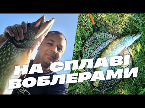 Видео: На сплаві воблерами