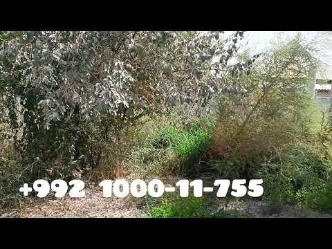 Видео: Срочна хонаи фуруши дар вахш