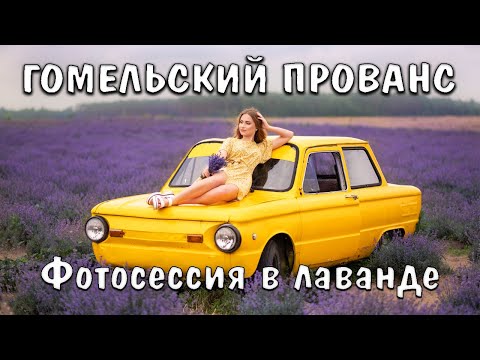 Видео: ГОМЕЛЬСКИЙ ПРОВАНС ПОД ВЕТКОЙ | ЛАВАНДОВОЕ ПОЛЕ | ФОТОСЕССИЯ В ЛАВАНДЕ