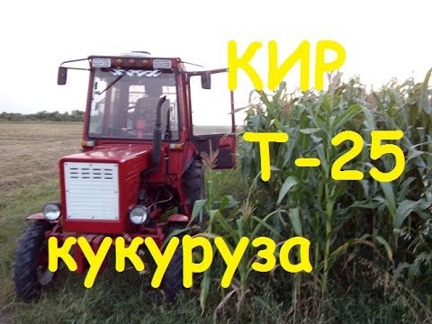 Видео: КИР - КУКУРУЗА - ТРАКТОР Т-25/KIR - CORN - TRACTOR T-25