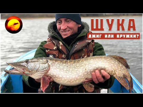 Видео: Джиг или кружки? /  Щука и окунь перед ледоставом / Рыбалка на Можайском водохранилище