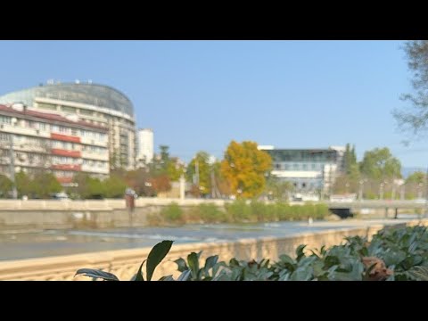 Видео: Из момента в Сочи. Про внутренний отклик 🌟