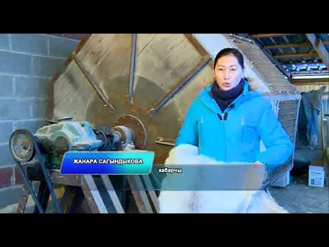 Видео: Тери иштетүү ыкмасы