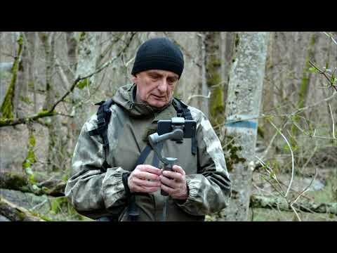 Видео: Прогулка к скале Зеркало