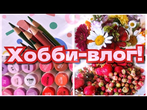 Видео: Хобби-влог! Организация карандашей, летнее настроение! Ужасная или прекрасная бумага в раскраске? 