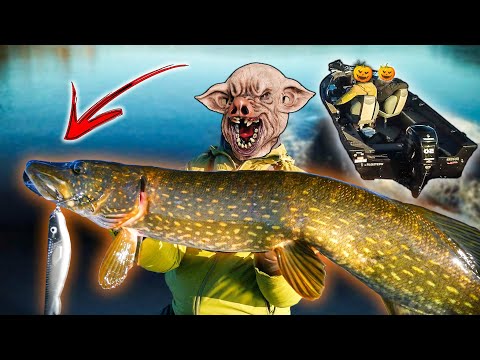 Видео: ГАДОСТИ или КРУПНАЯ ЩУКА (выпуск для ХЭЛЛОУИНА)| Team Galant