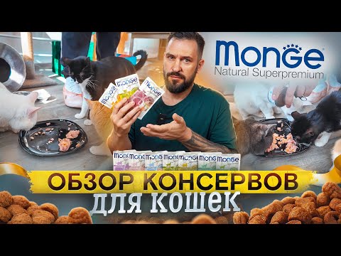 Видео: Аппетитный, ароматный, вкусный обзор консервов для кошек Monge Supreme | Влажный корм для кошек