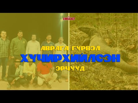 Видео: Гүрвэл хүчирхийлсэн гэх хэрэг ба Энэтхэгийн бас нэгэн гутамшиг