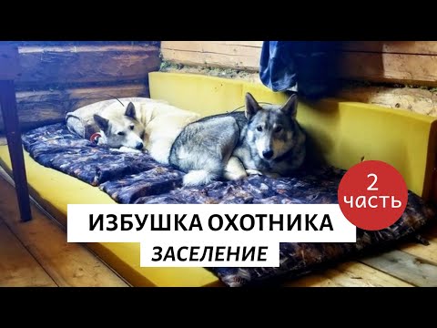 Видео: Новое зимовье на Дальнем Востоке