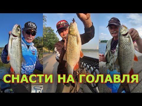 Видео: Константин Кузьмин. Снасти на голавля, 2023 год.